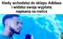 Jednak technik wędliniarz to nie był najlepszy pomysł na wykształcenie