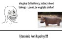 Królik Bugs na takim jeździł