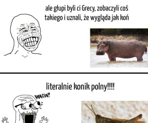 Królik Bugs na takim jeździł