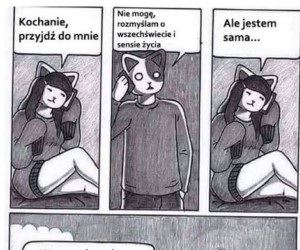 I co ci po gorącej kotce w twojej okolicy