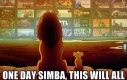 Cała moja biblioteka, Simba...