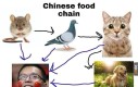 Lubie Chiny