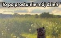 Kiedyś będzie mój dzień