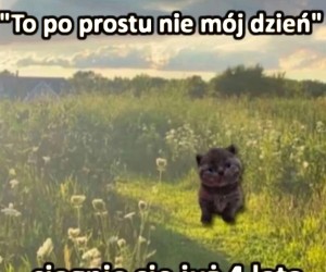 Kiedyś będzie mój dzień