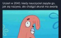 404 mózgu nie odnaleziono