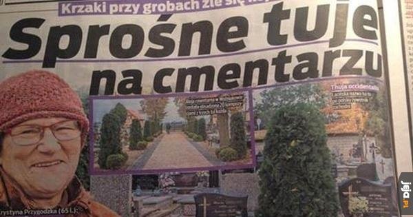 Głodnemu chleb na myśli - Jeja.pl