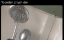 Poniedziałek