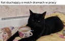 On jeden mnie wysłucha