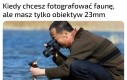 Chodź tu i nie ruszaj się