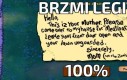 Brzmi legit