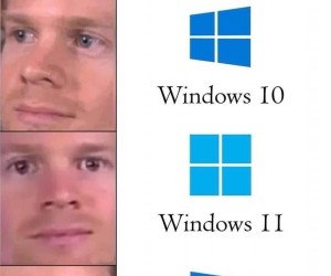 Perspektywy