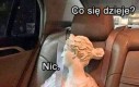 Chyba ty masz focha