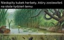 Stworzyłem życie!