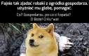 NIE!!!
