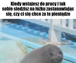No nie wiem