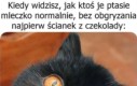 To nielegalne