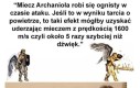 Szybko