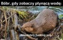 *odgłosy gryzienia gałęzi*