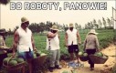 Do roboty, panowie!