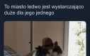 W samo południe jem już trzeci posiłek