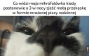 Kręć się dla mnie o pokarmie bogów