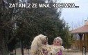 Zatańcz ze mną, kochana...