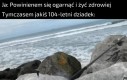 Jeszcze mnie przeżyje