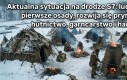 Zima się ich trzyma