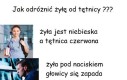 Doświadczenie