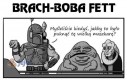 Brach-Boba Fitt