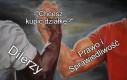 Chcesz?