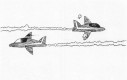 Samobójstwa zajączka: Zajączek i samoloty