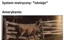 Jakiej wysokości jest standardowy rower?