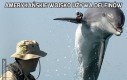 Amerykańskie wojsko używa delfinów