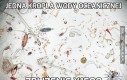 Jedna kropla wody oceanicznej