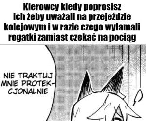 Wiem co robię