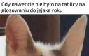Tytuł jest smutny