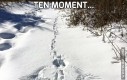 Ten moment...