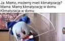 Chłodnego fumopiątkowania