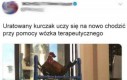Wholesom... ej dobra, to przesada trochę