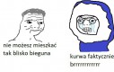Trzeba było słuchać