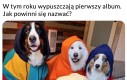 The Good Bois?