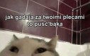 Niech im śmierdzi