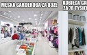 Zasadnicza różnica