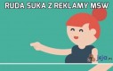 Ruda suka z reklamy MSW