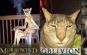 Klasyki RPG