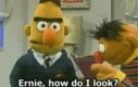 Bert zadaje strasznie głupie pytania