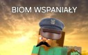 Tak to wygląda
