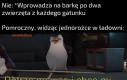 A potem je wyrzucił na zbity pysk