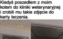 Świetnie oddaje jego osobowość